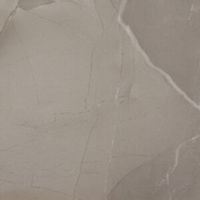 ΠΠ°ΠΏΠΎΠ»ΡΠ½Π°Ρ ΠΏΠ»ΠΈΡΠΊΠ° Azteca Passion Lux 60 Taupe