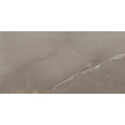 ΠΠ°ΡΡΠ΅Π½Π½Π°Ρ ΠΏΠ»ΠΈΡΠΊΠ° Azteca Passion 11-015-4 Taupe