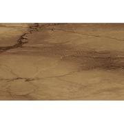 ΠΠ°ΡΡΠ΅Π½Π½Π°Ρ ΠΏΠ»ΠΈΡΠΊΠ° Brennero Venus VisoneΒ Lapp/Rett