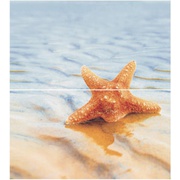 Декор Ceradim Starfish КПН16Starfish1