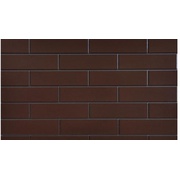 Настенная плитка Cerrad Elewacja Rustico rott