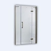 Душевая дверь Cezares Eco ECO-O-50/50-C-Cr 50х195