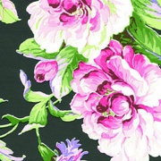 Флизелиновые обои Dandino Aromas 621-5 Растения