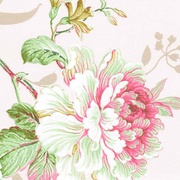 Флизелиновые обои Dandino Aromas 622-2 Растения