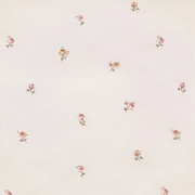 Виниловые обои Did British Garden R53212-1 Цветы