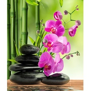 Панно Divino Decor C1-393 Цветы