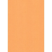 Виниловые обои Erismann Bella 3437-4