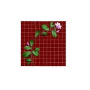 Виниловые обои Фокс Винил на бумаге 0,53х10м-супермойка 5884 Цветок