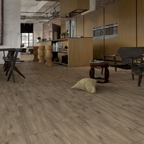Golden Tile Alpina Wood