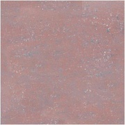 Grasaro Pietra Naturale Travertin G-460/PR/600x600x10