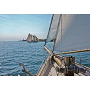 Фотообои Komar Scenics Edition 2 8-526