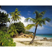 Фотообои Komar Scenics Edition 2 8-885
