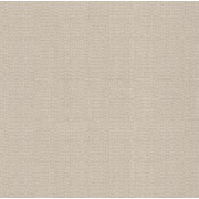 Флизелиновые обои ОФ Авангард Арт 11-252-05 Штукатурка