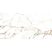 Напольная плитка Peronda Museum/P Gold/60X120/P TUCCI