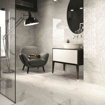 Porcelanite Dos 5046