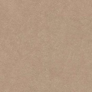 Флизелиновые обои Rasch Barbara Becker 860146 Штукатурка