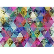 Фотообои Rebel Walls Harlequin Roses R13231 Абстракция