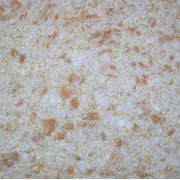Шелковая штукатурка Silk Plaster Эко Лайн 763