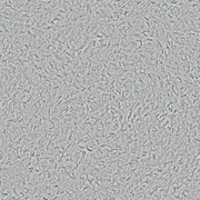 Шелковая штукатурка Silk Plaster Стандарт 020