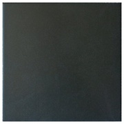 ΠΠ°ΠΏΠΎΠ»ΡΠ½Π°Ρ ΠΏΠ»ΠΈΡΠΊΠ° Equipe Caprice Black
