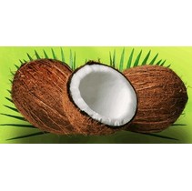 3D плитка Настенное 3D панно Кокосы