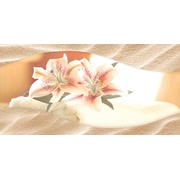Декор Absolut Keramika Acqua Decor Sand Spa 01