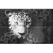 Панно Absolut Keramika Aura Leopard Composicion Leopard