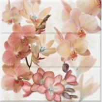 Absolut Keramika Aure Orchides berenjena Orchides Marron