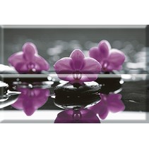 Absolut Keramika Aure Purple Composicion Wellness Purple 01