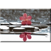 Панно Absolut Keramika Aure Red White Composicion Wellness Red 01