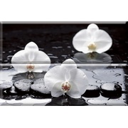 Панно Absolut Keramika Aure Red White Composicion Wellness White 02