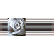 Декор Absolut Keramika Aure Rose Decor Rose 01