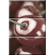 Панно Absolut Keramika Cherry Composition 3пл