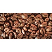 Декор Absolut Keramika Coffee 10x20 Decor Beans 03