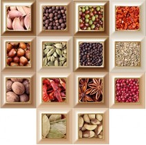 Absolut Keramika Cube Decor Mix 14 pz Cube Warm Kitchen