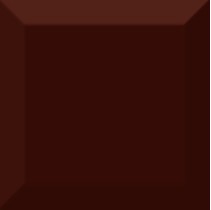 Absolut Keramika Monocolor 100х100 Biselado Marron Brillo