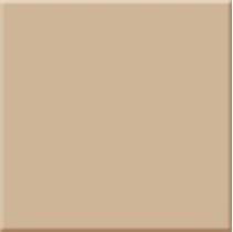 Absolut Keramika Monocolor 100х100 Milano Beige Brillo