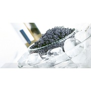 Декор Absolut Keramika Monocolor 100х200 Biselado Decor Black Caviar 01