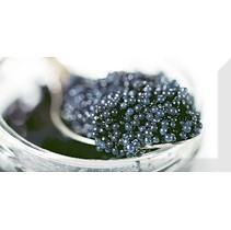 Absolut Keramika Monocolor 100х200 Biselado Decor Black Caviar 03