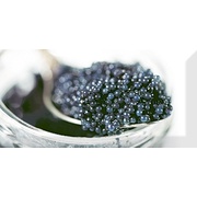 Декор Absolut Keramika Monocolor 100х200 Biselado Decor Black Caviar 03