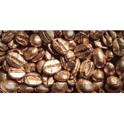 Декор Absolut Keramika Monocolor 100х200 Biselado Decor Coffee Beans 01