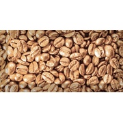 Декор Absolut Keramika Monocolor 100х200 Biselado Decor Coffee Beans 02