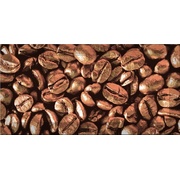 Декор Absolut Keramika Monocolor 100х200 Biselado Decor Coffee Beans 03