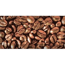 Absolut Keramika Monocolor 100х200 Biselado Decor Coffee Beans 03