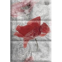 Absolut Keramika Monocolor 7.5х15 Biselado Composicion Opio C (150х225мм)