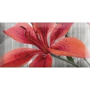 Декор Absolut Keramika Monocolor 7.5х15 Biselado Mix Flowers RBW 1