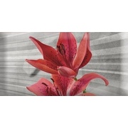 Декор Absolut Keramika Monocolor 7.5х15 Biselado Mix Flowers RBW 2