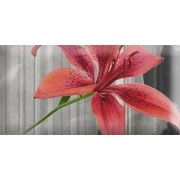 Декор Absolut Keramika Monocolor 7.5х15 Biselado Mix Flowers RBW 4
