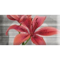 Absolut Keramika Monocolor 7.5х15 Biselado Mix Flowers RBW 5