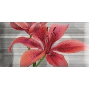 Декор Absolut Keramika Monocolor 7.5х15 Biselado Mix Flowers RBW 5